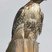 Red-tailed Hawk